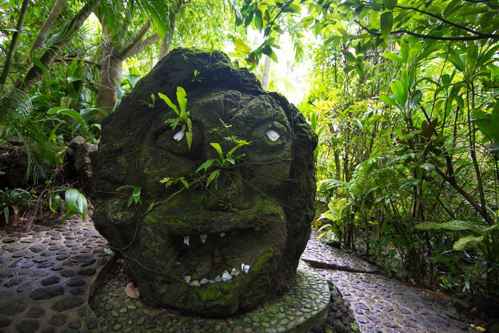 Rohotu Fare Villa Bora Bora Værelse billede
